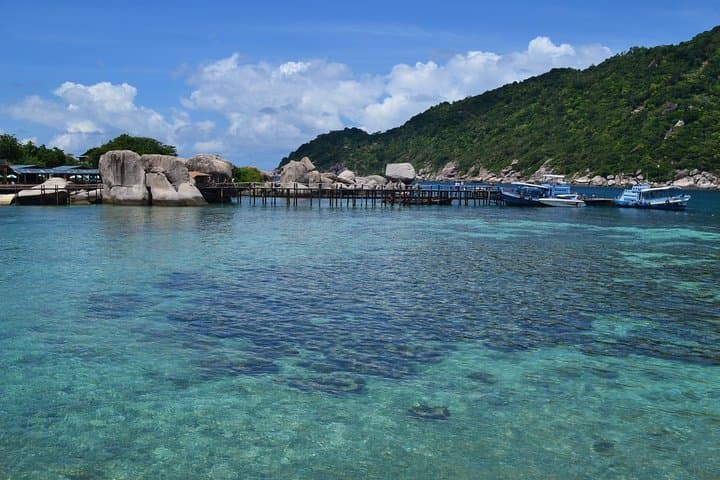 Koh Tao & Koh Nang Yuan Speedboat Snorkeling: Day Trip from Koh Samui photo 3