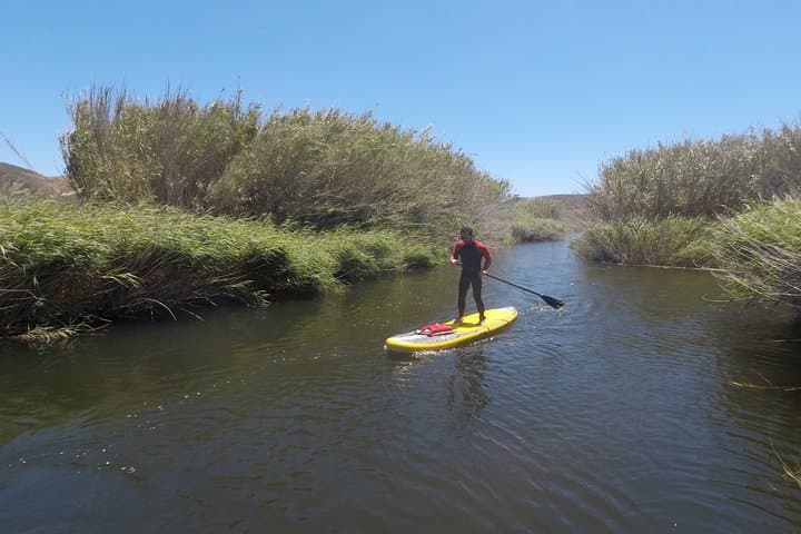 Amoreira River Stand Up Paddle Tour — SUP the Estuary at Carrapateira photo 3
