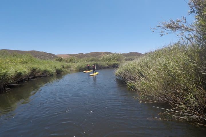 Amoreira River Stand Up Paddle Tour — SUP the Estuary at Carrapateira photo 4