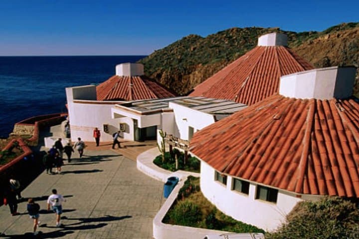 Experience La Bufadora: Ensenada’s Iconic Blowhole and Coastal Adventure photo 3