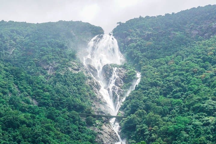 Dudhsagar Falls & Mollem National Park: Full-Day Jeep Safari and Spice Plantation Experience