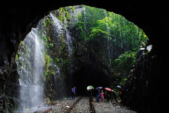 Dudhsagar Falls & Mollem National Park: Full-Day Jeep Safari and Spice Plantation Experience photo 2