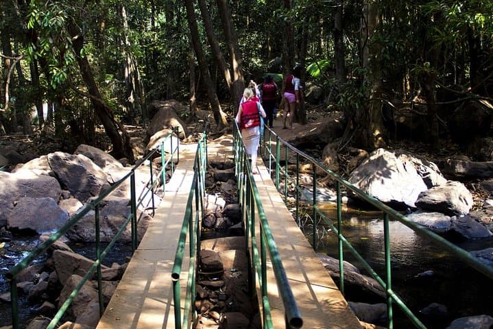 Dudhsagar Falls & Mollem National Park: Full-Day Jeep Safari and Spice Plantation Experience photo 3