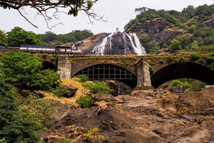 Dudhsagar Falls & Mollem National Park: Full-Day Jeep Safari and Spice Plantation Experience photo 4