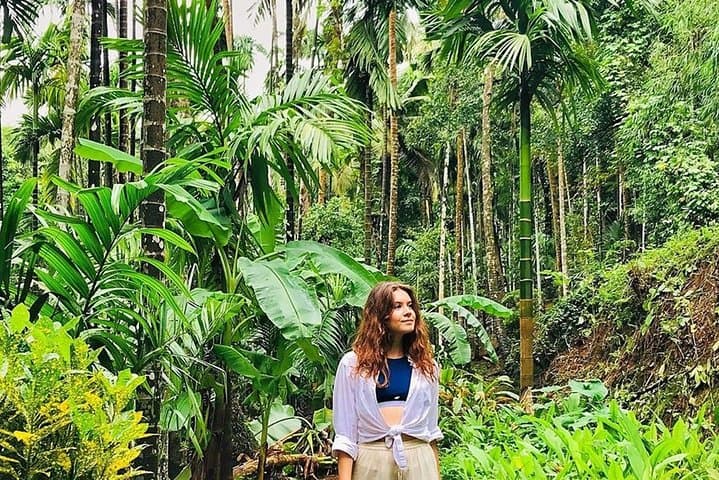 Dudhsagar Falls & Mollem National Park: Full-Day Jeep Safari and Spice Plantation Experience photo 5