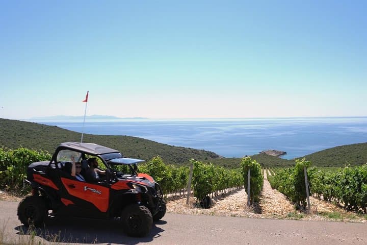 Drive Korcula: 4x4 Can-Am Buggy Winery Tour with Lunch photo 3