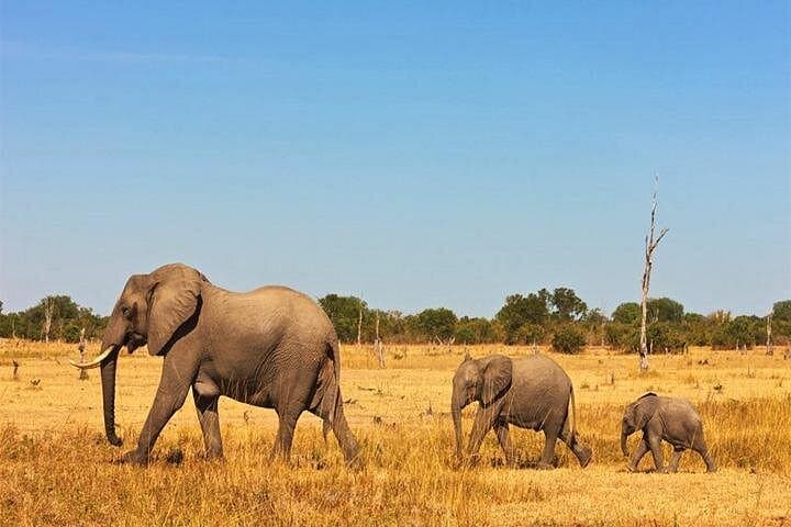 3-Day Amboseli and Tsavo West Safari: Elephants, Kilimanjaro Views and Lava Fields photo 1