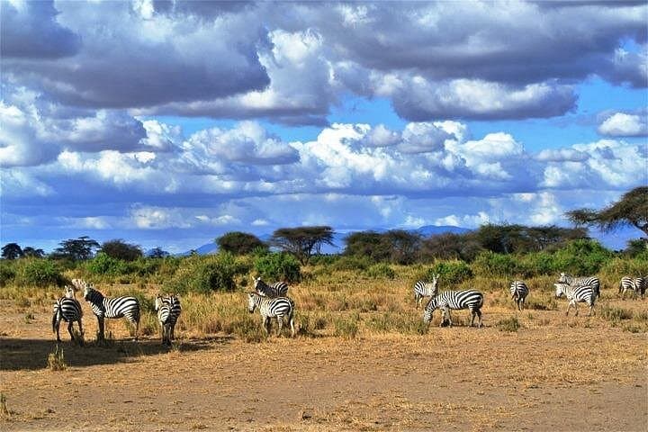 Day Safari to Tsavo East: Big Five Wildlife from Mombasa & Diani photo 2