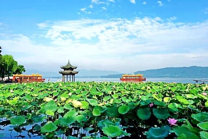 Private English Guide in Hangzhou: Custom 8-Hour West Lake & Tea Country Tour