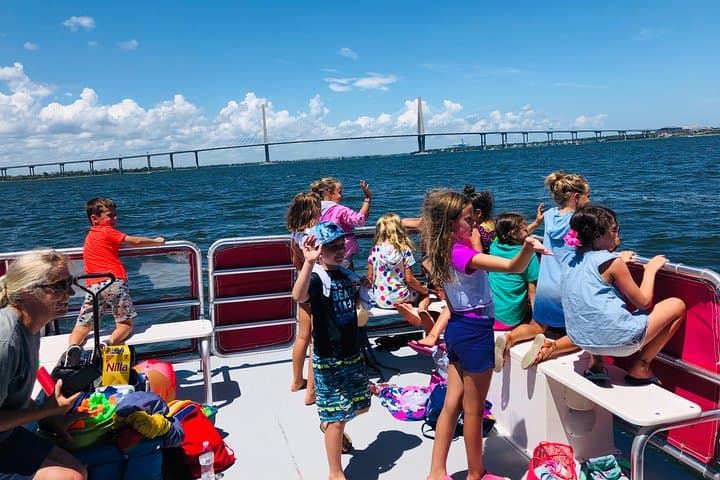 Charleston Water Taxi Dolphin Cruise: Harbor Hop, Sightseeing & Dolphin Watch photo 2