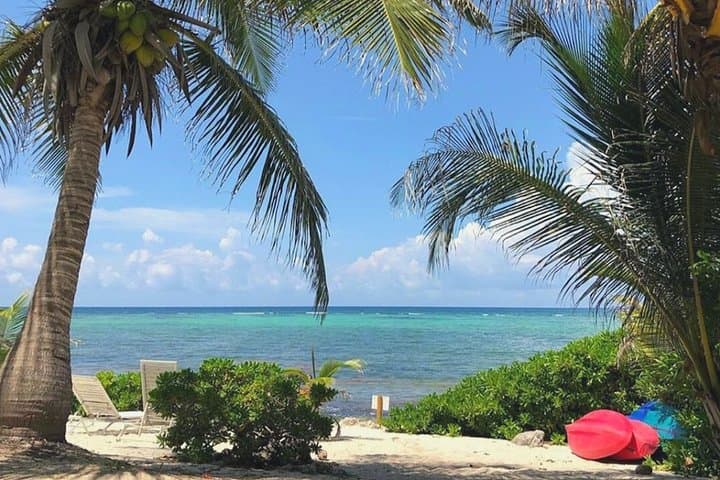 Private Romantic Tour in Akumal: Turtle Beaches, Yal-Ku Lagoon & Cenote Highlights photo 5