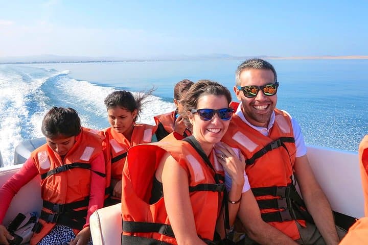 Private Ballestas Islands & Paracas Reserve Day Trip from Lima photo 2