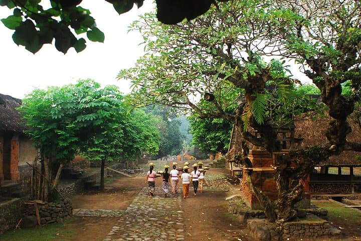 Explore East Bali: Tirta Gangga, Lempuyang & Pasir Putih Day Tour photo 2