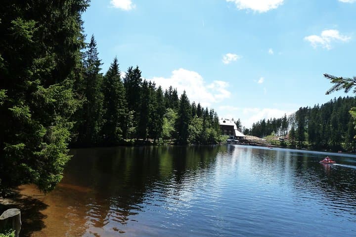 Best of the Black Forest Day Trip from Basel — Triberg Waterfalls, Titisee & Freiburg photo 2