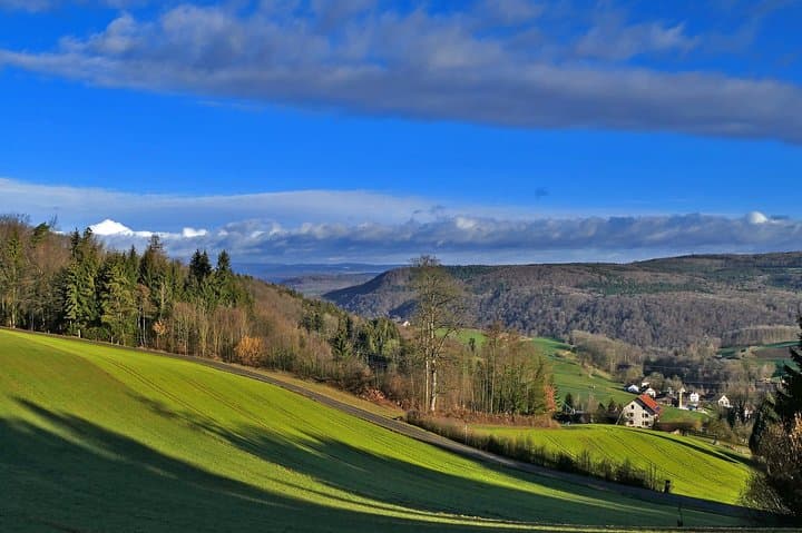 Best of the Black Forest Day Trip from Basel — Triberg Waterfalls, Titisee & Freiburg photo 3