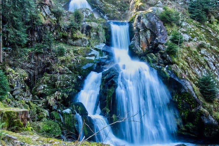 Best of the Black Forest Day Trip from Basel — Triberg Waterfalls, Titisee & Freiburg photo 4
