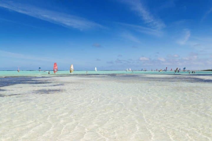 Bonaire Highlights Shore Excursion: Salt Flats, Flamingos & Coastal Views photo 3