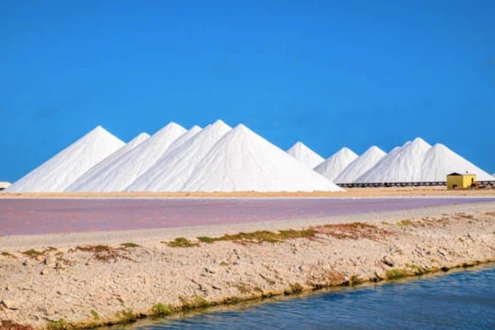 Bonaire Highlights Shore Excursion: Salt Flats, Flamingos & Coastal Views photo 6