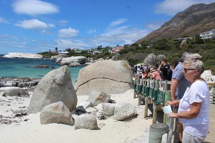 Cape Town to Hermanus Whale Watching Day Trip with Benguela Cove Winery photo 6