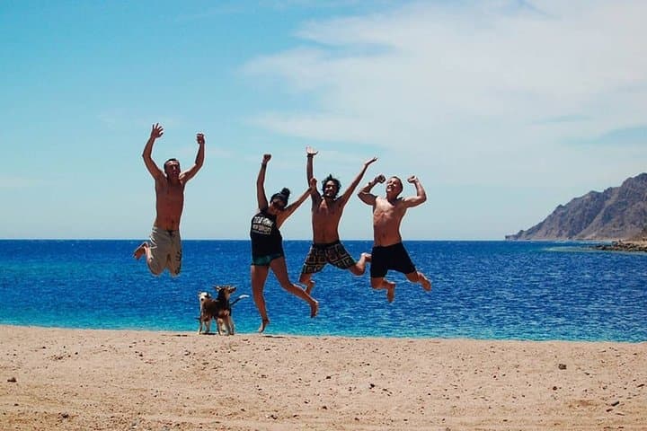 Sharm El Sheikh 8-Day Red Sea Relaxation, Snorkeling & Diving Escape photo 3