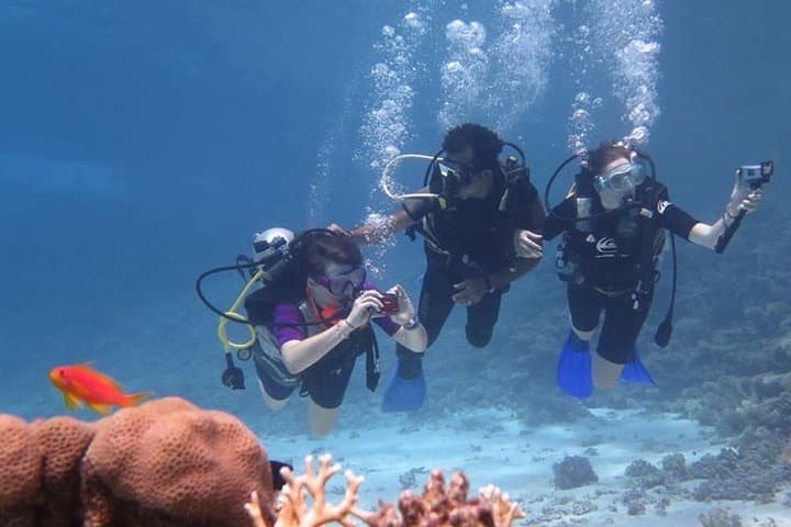 Sharm El Sheikh 8-Day Red Sea Relaxation, Snorkeling & Diving Escape photo 4
