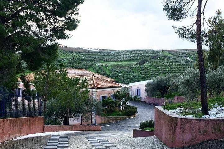 Cretan Wine & Olive Oil Tasting Tour with Lunch in Archanes photo 3