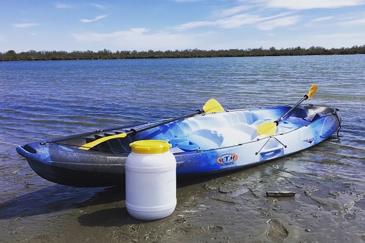 Camargue 4x4 Safari with Picnic and Petit Rhône Kayak Descent