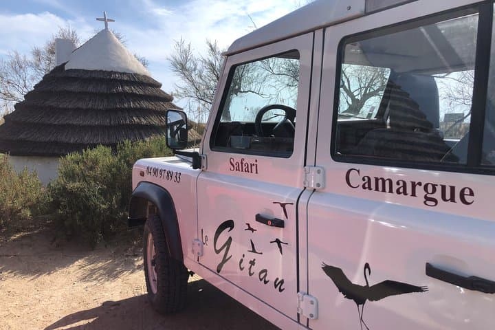 Camargue 4x4 Safari with Picnic and Petit Rhône Kayak Descent photo 4