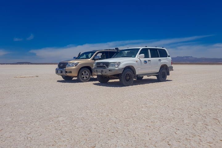 Uyuni Salt Flats & Hedionda Lagoon: 2-Day Private Flamingo Tour photo 6