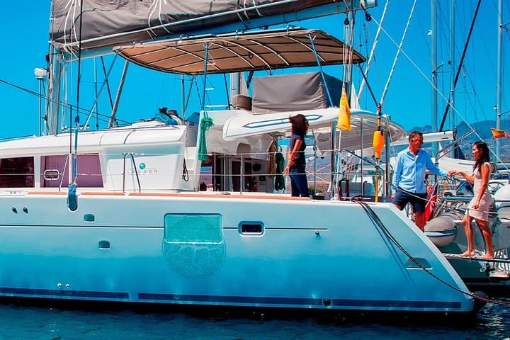 Luxury Catamaran Whale-Watching Charter in Costa Adeje, Tenerife