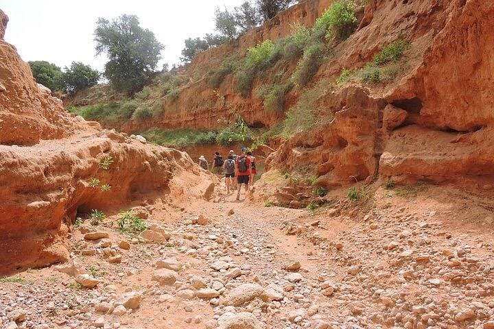 Essaouira Argan Forest to Coast Hike: 12 km Beach & Waterfall Walk with Homestay Lunch photo 2