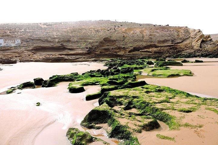 Essaouira Argan Forest to Coast Hike: 12 km Beach & Waterfall Walk with Homestay Lunch photo 3