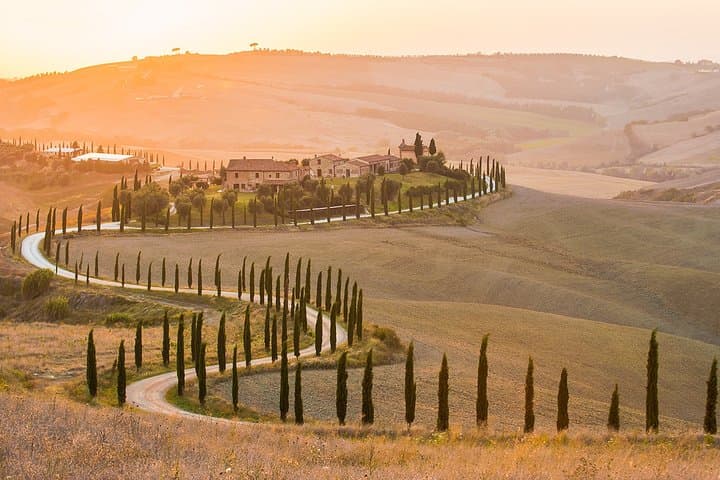 Truffle and Brunello VIP Day Trip to Montisi & Montalcino from Rome photo 4