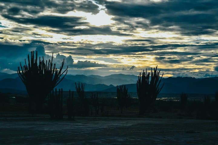 4-Day Tatacoa Desert and San Agustín Archaeological Tour photo 2