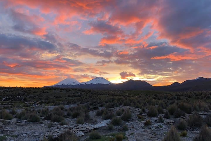 Sajama to Uyuni: 5-Day Private Altiplano Tour from La Paz photo 1