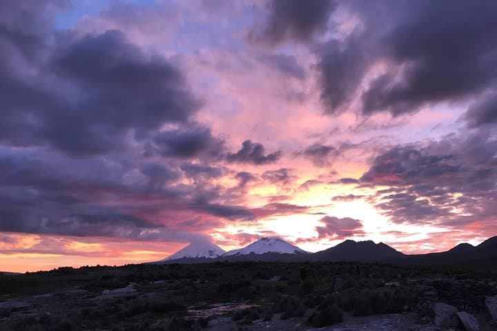Sajama 2-Day Private Tour from La Paz — Hot Springs, Flamingo Lagoons & Mummy Tombs