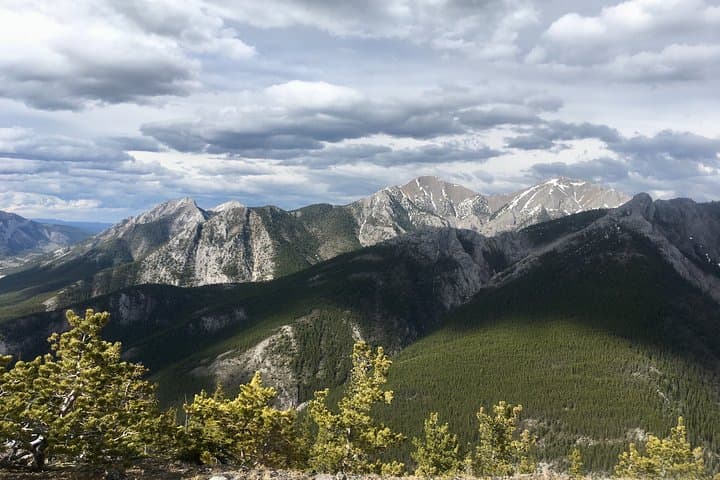 Guided Day Hike in Kananaskis Country: Limestone Peaks & Alpine Ecology photo 4