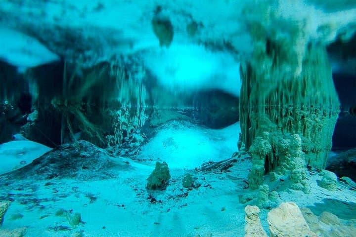 Cenotes and Paradise Lagoon: Snorkel Yal-Ku Lagoon & Cave Cenotes in the Riviera Maya photo 3