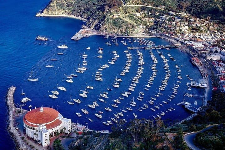 Catalina Island Golf Cart Tour of Avalon — Private 2-Hour Guided Experience photo 3