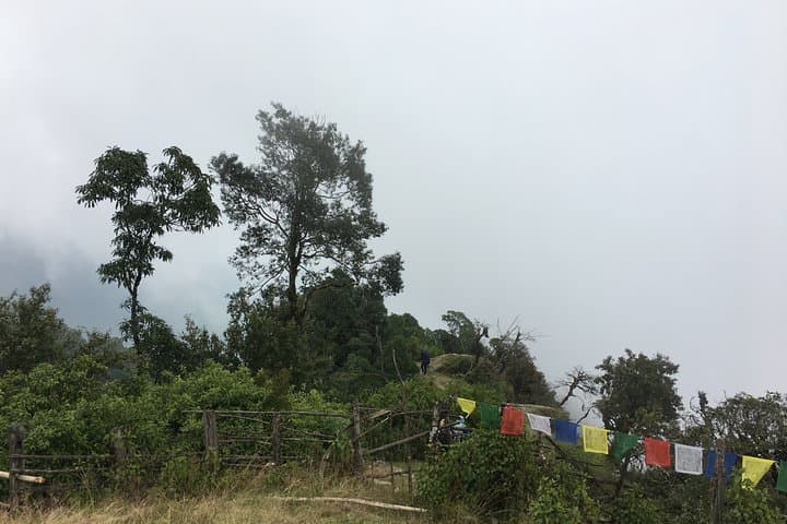 Half-Day Trek to Dhampus: Annapurna Views & Gurung Village Experience photo 3