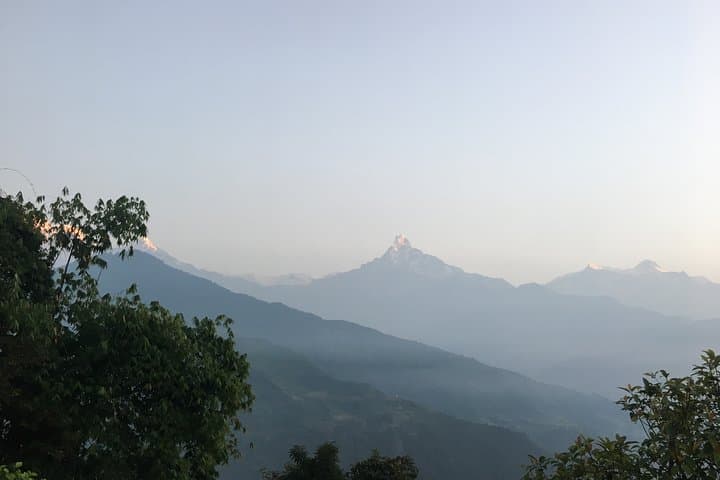 Half-Day Trek to Dhampus: Annapurna Views & Gurung Village Experience