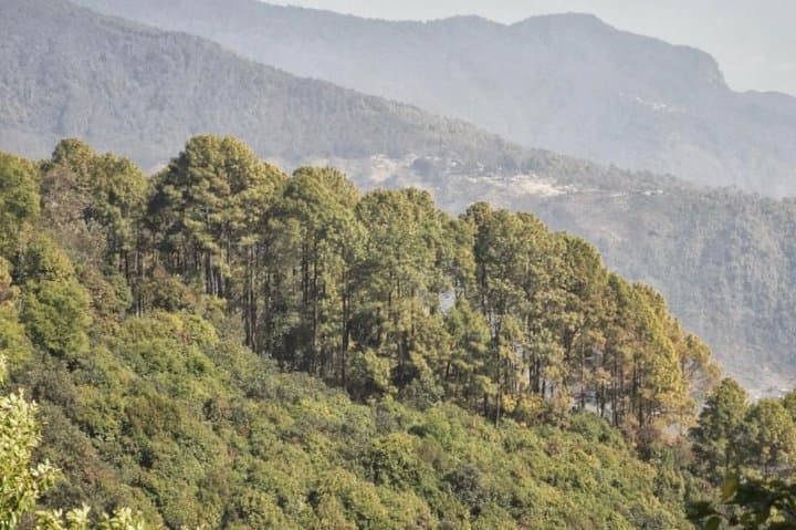 Kathmandu Day Hike to Kakani: Himalayan Views & Village Trails photo 6