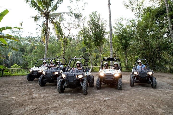 Jungle Buggy Adventure and Ubud Tour: ATV Laps, Tegalalang Rice Terrace & Monkey Forest photo 3