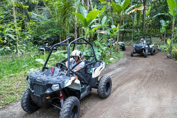 Jungle Buggy Adventure and Ubud Tour: ATV Laps, Tegalalang Rice Terrace & Monkey Forest photo 4