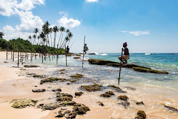 Sri Lanka Beach Hopping Adventure: Dolphins, Surf & Marine Sanctuaries photo 2