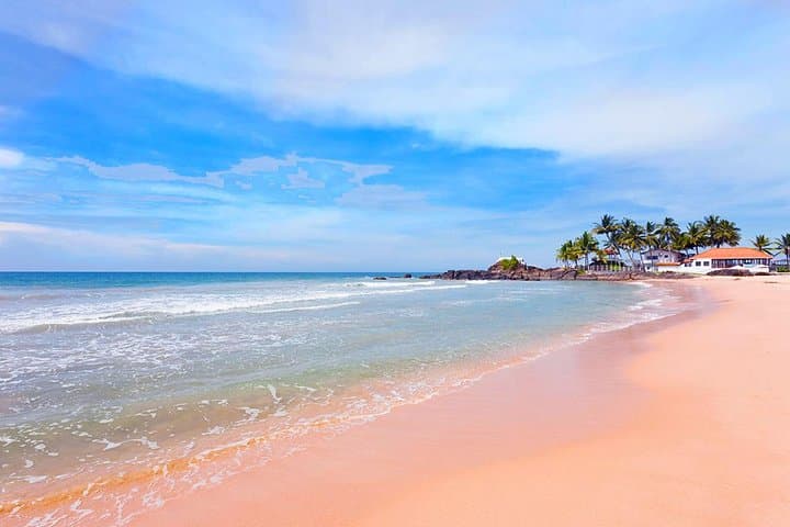Sri Lanka Beach Hopping Adventure: Dolphins, Surf & Marine Sanctuaries photo 5