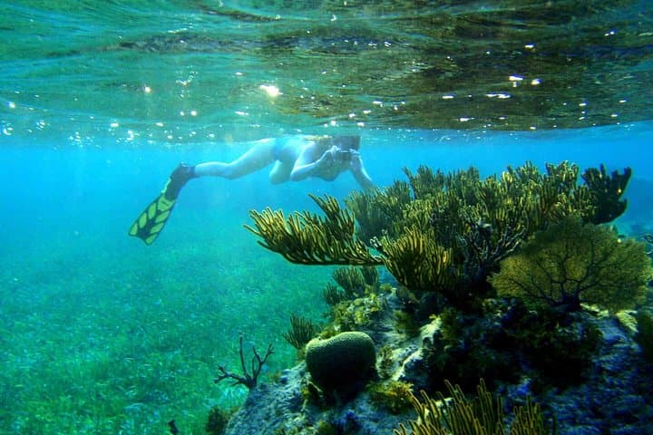 Roatan Sea Kayak, Reef Snorkel & Beach Swim Adventure photo 6