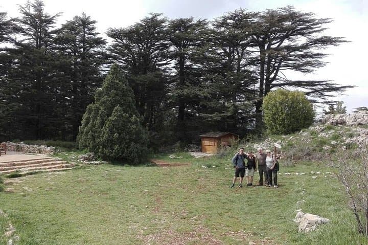 Qadisha Valley, Cedars of God & Baalbek: Day Trip from Beirut photo 3