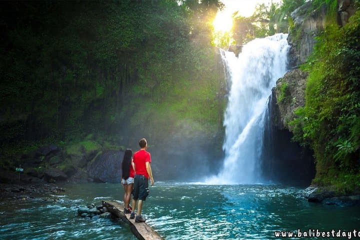 Ubud One-Day Tour: Monkey Forest, Tegalalang Rice Terraces & Tegenungan Waterfall photo 5