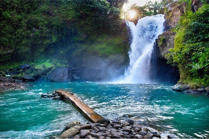 Ubud One-Day Tour: Monkey Forest, Tegalalang Rice Terraces & Tegenungan Waterfall photo 6